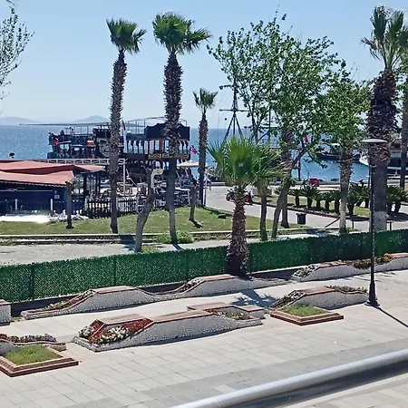 Baris 2*